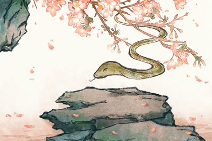 十二生肖蛇的来历与内涵 属蛇的故事和传说